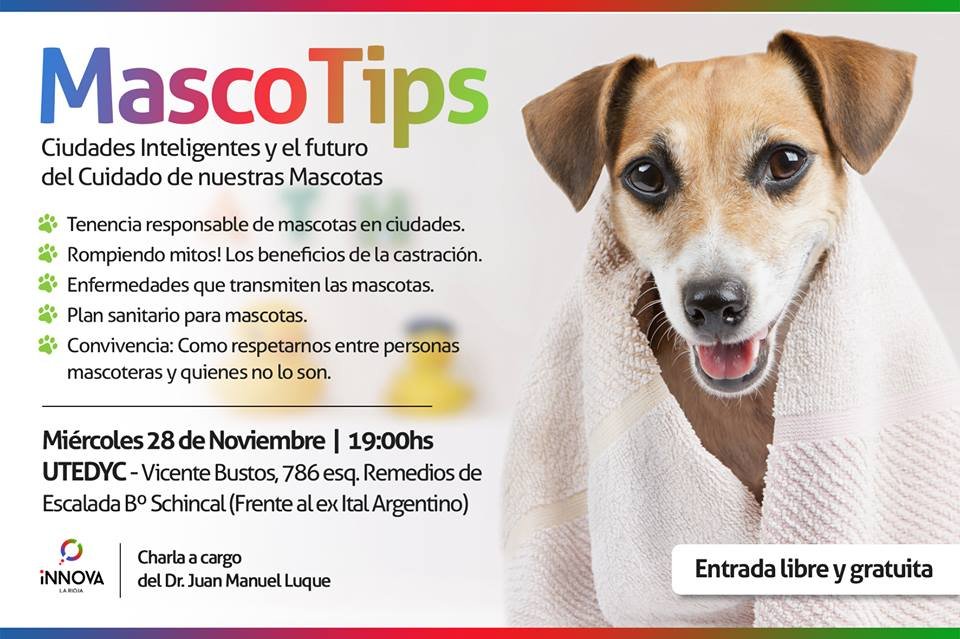 MascoTips: Ciudades Inteligentes y el futuro del cuidado de nuestras Mascotas
